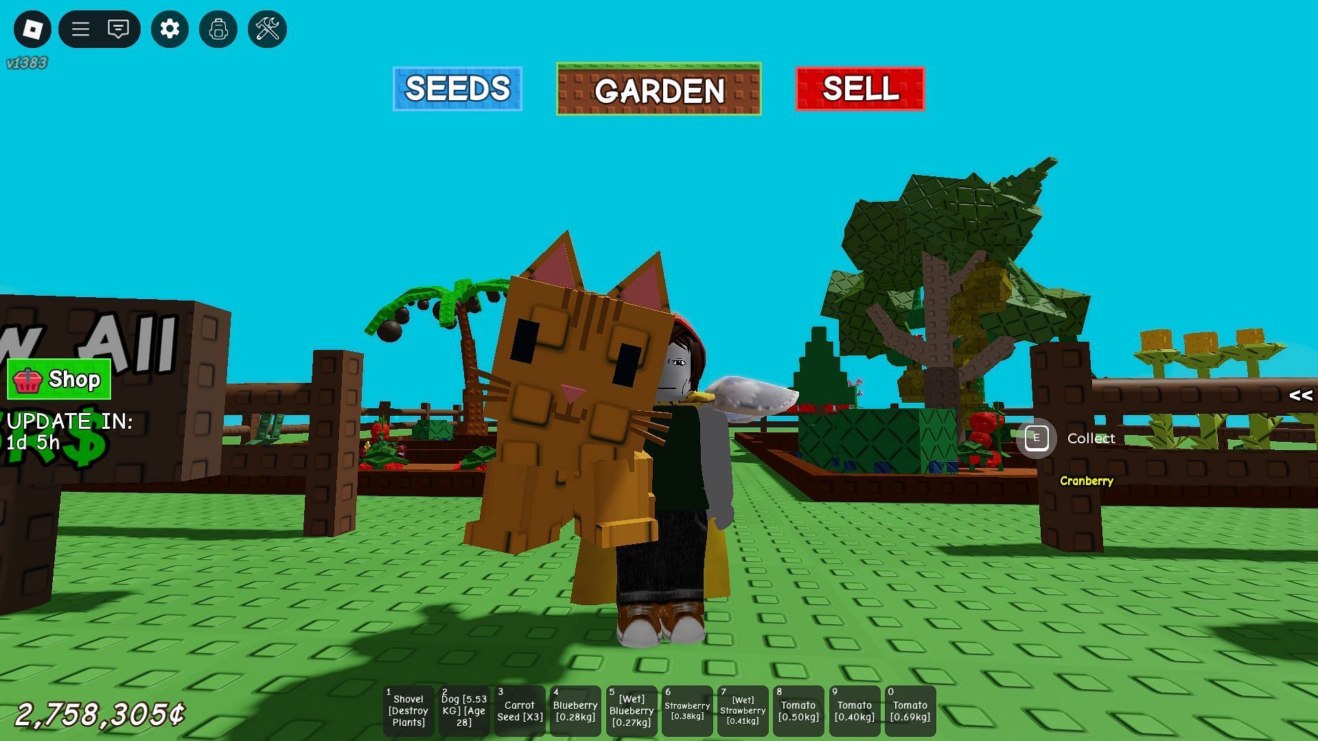The Orange Tabby (Image via Roblox)